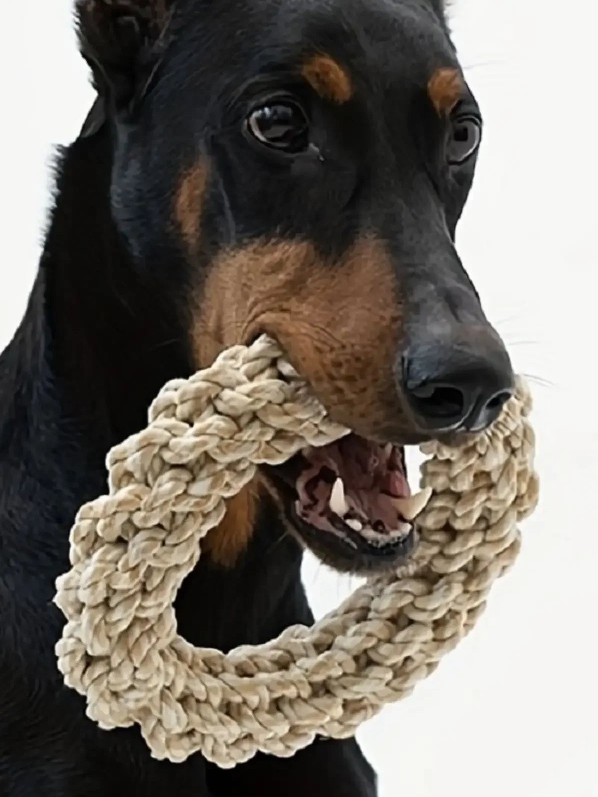 Pet Dog Rope Toy Durable Chew Bite Resistant Pet Toys for Medium Large Dogs Golden Retriever Pitbull Labrador Supplies