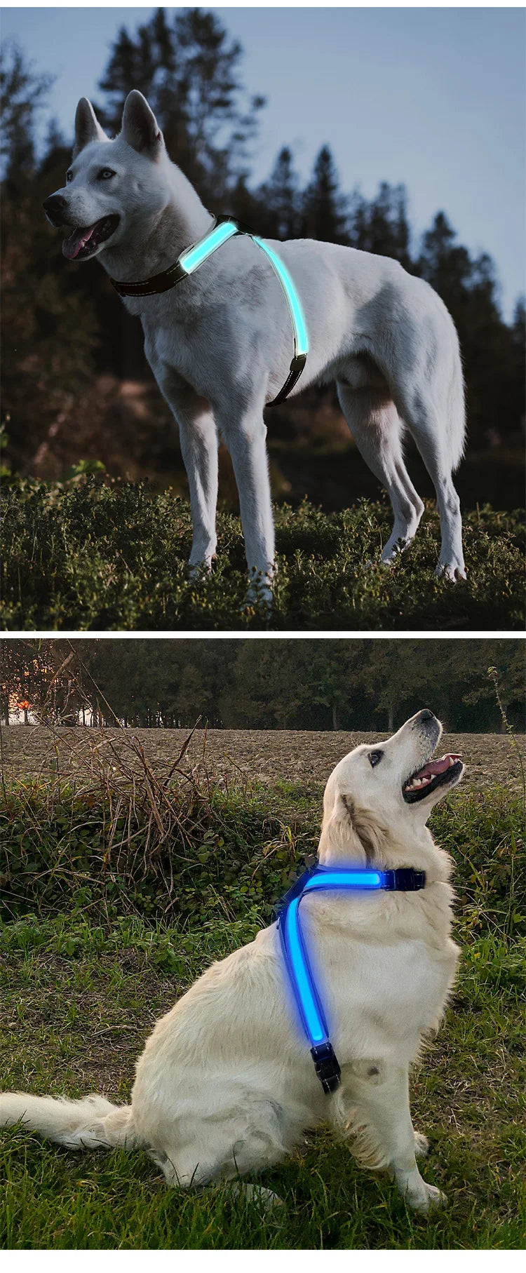 Pet Supplies Explosion-proof Flush Traction 8 Gears Color Changing Led Light Chest Braces Clothes Pet Collars