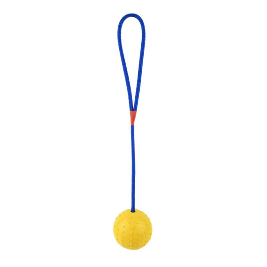 Dog Ball with Rope Interactive Dog Toy Pull and Throw Toy for Small Dogs Indoor Outdoor Exercise Play